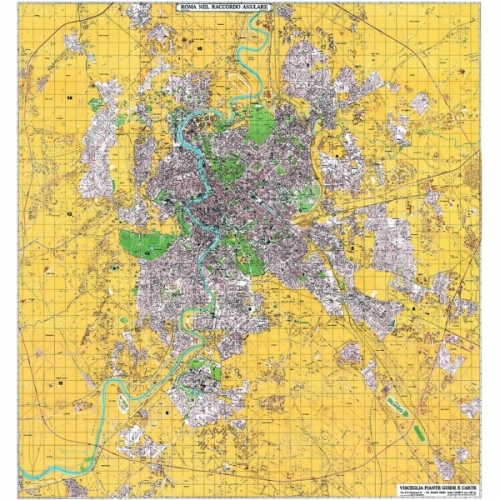 Storia e origini dell'istituto cartografico Visceglia