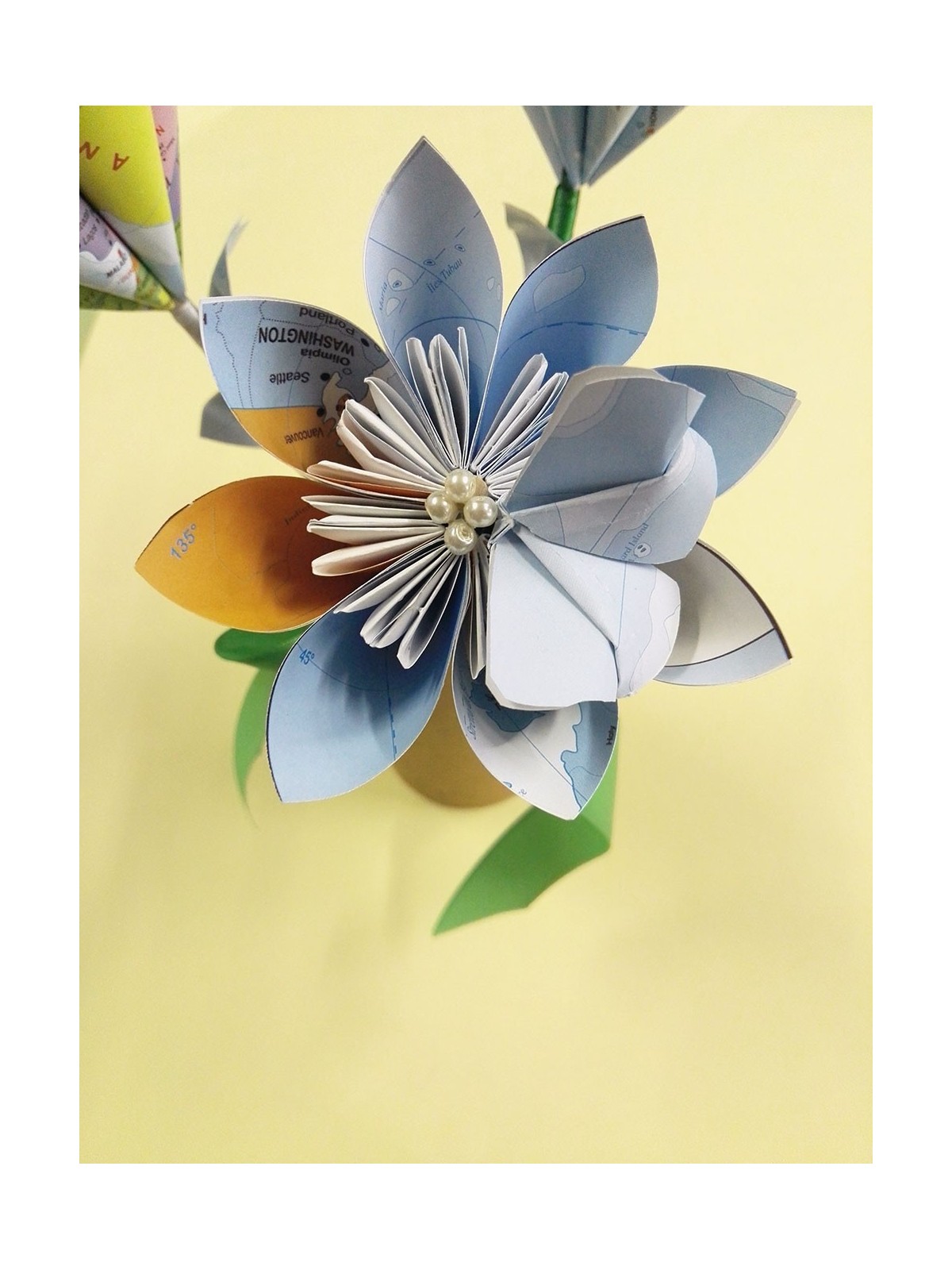 Fiori con carte geografiche