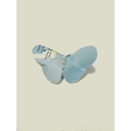 Farfalla decorativa con carta geografica