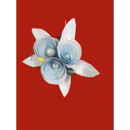 Bottoniera con carta geografica