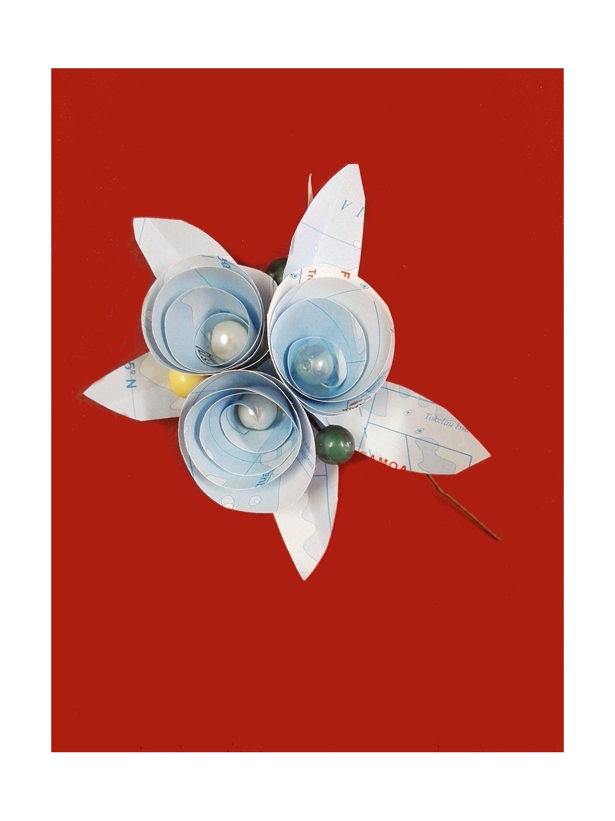 Bottoniera con carta geografica