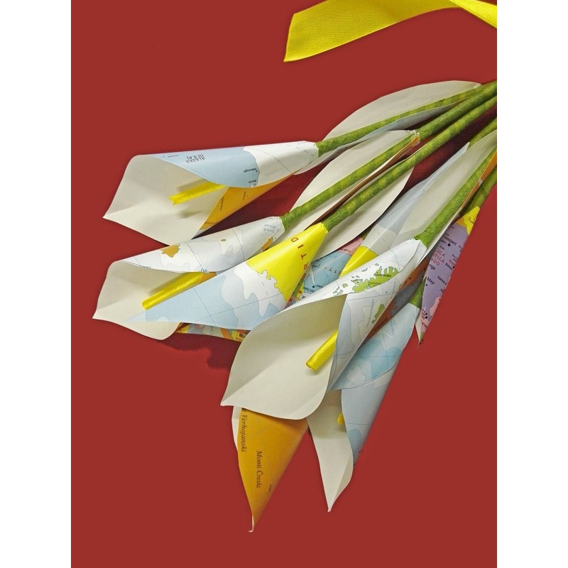 Bouquet di fiori con carte geografiche a fascio