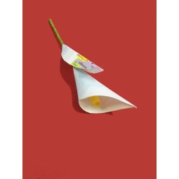 Calla decorativa con carta geografica