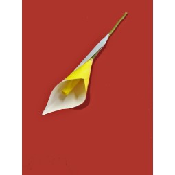 Calla decorativa con carta geografica