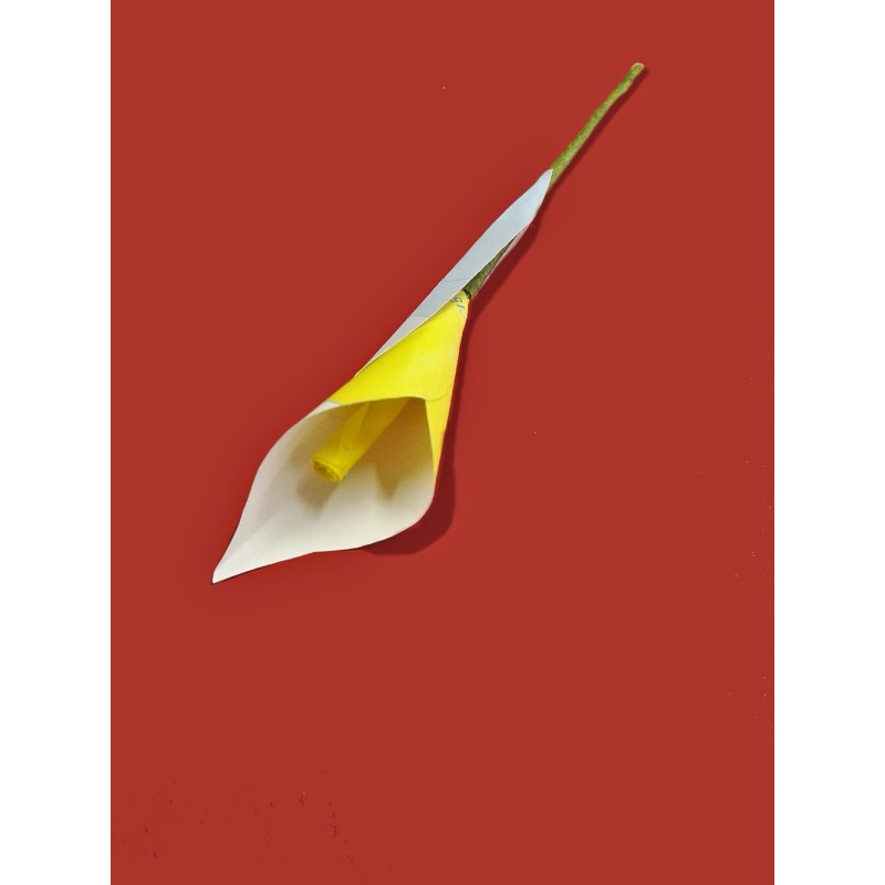 Calla decorativa con carta geografica