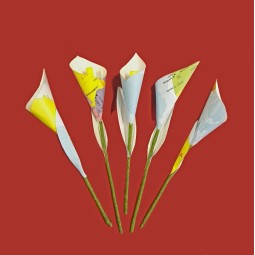 Calla decorativa con carta geografica