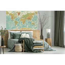 Carta geografica del mondo fisico a colori