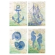 Carte marine fisiche con elementi simbolici legati al mare