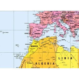 Carta geografica del mondo politica con la proiezione di Peters