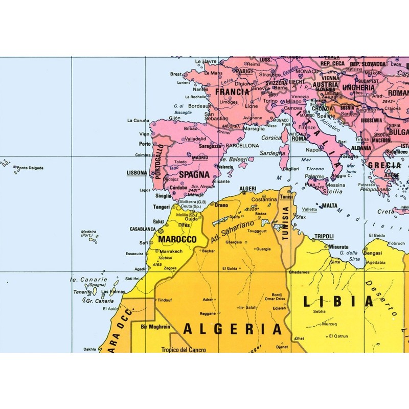 Carta geografica del mondo politica con la proiezione di Peters