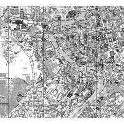 Carta geografica di Roma in bianco e nero