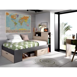 Political color map of the world cm 140 x 90