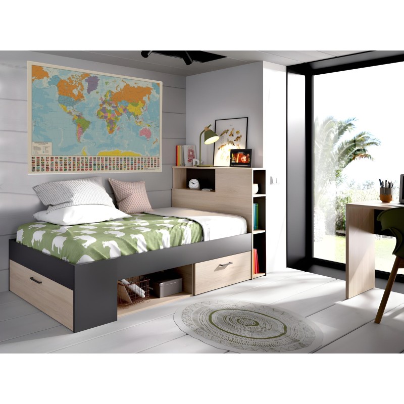 Planisfero politicoa colori con bandiere