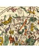 Antique map of the southern celestial planisphere 