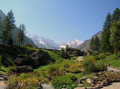 parco gran paradiso