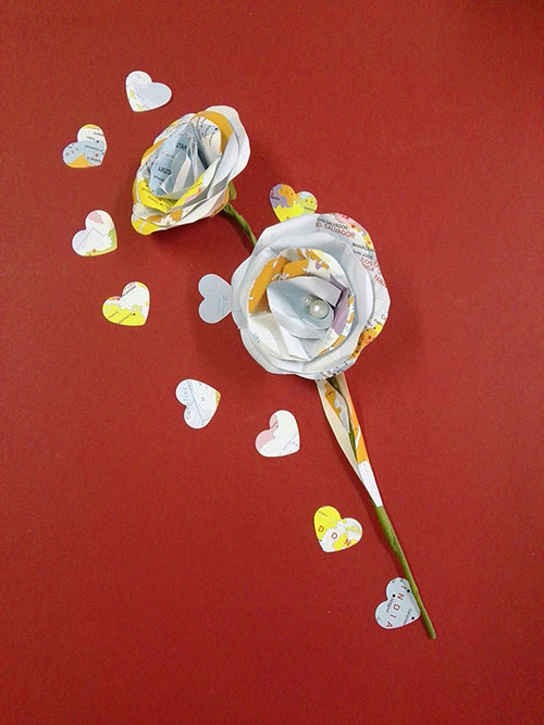 rosa con carta geografica